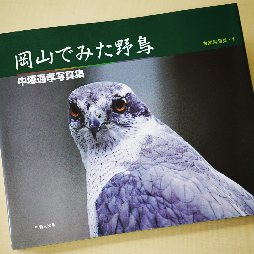 岡山でみた野鳥 表紙