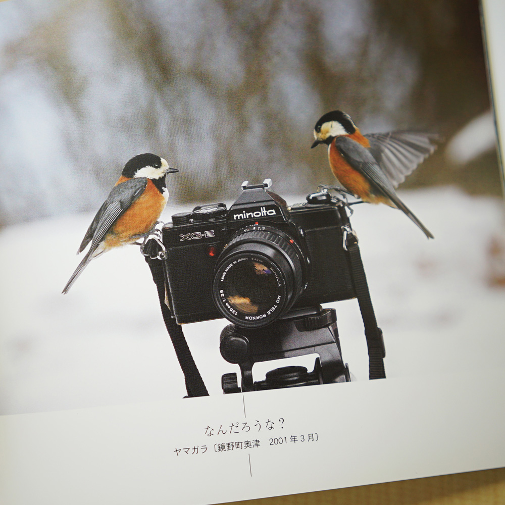 岡山でみた野鳥　中塚通孝写真集